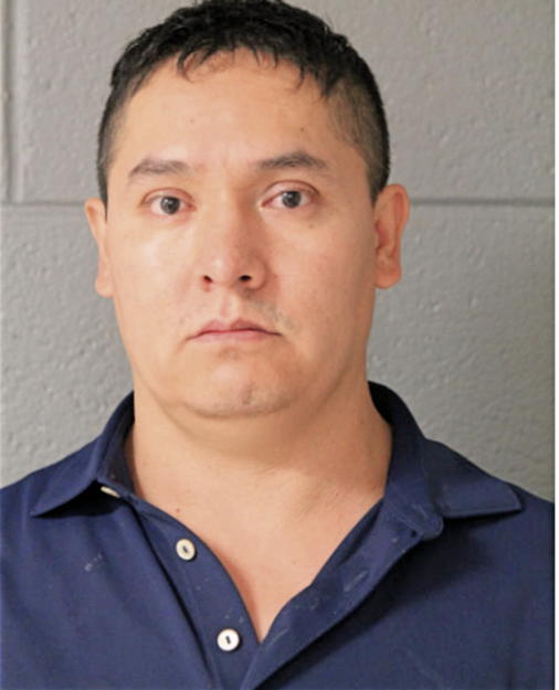 JOSE L AMAYA, Cook County, Illinois