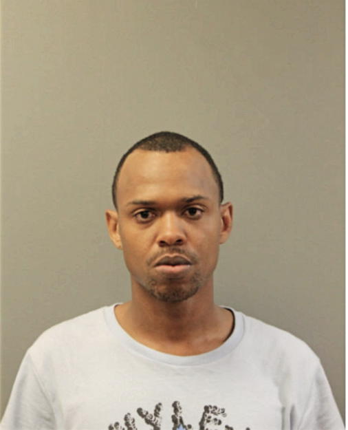 BRANDON J AMISON, Cook County, Illinois
