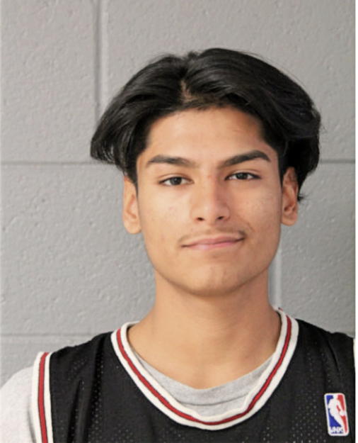 KRISTIAN R ARMENDARIZ, Cook County, Illinois