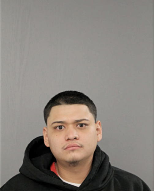ANDRES BAHENA, Cook County, Illinois