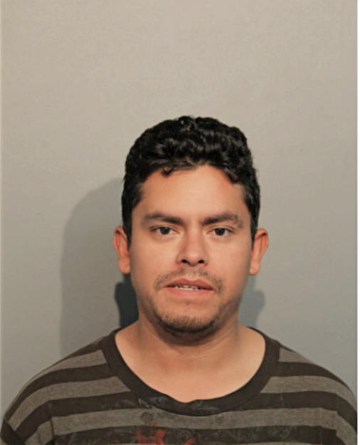 ALEJANDRO A BERNAL, Cook County, Illinois