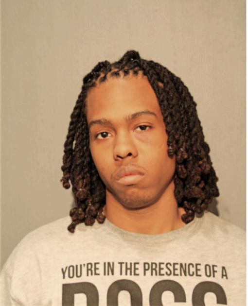 LAPARISH Z BROWN, Cook County, Illinois
