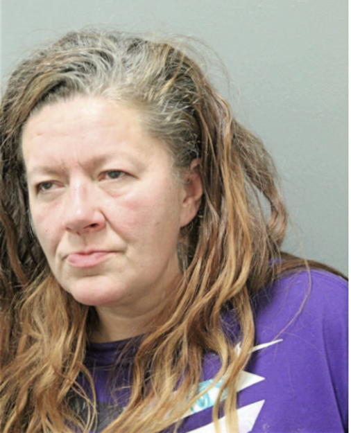 PATRICIA L DORAN, Cook County, Illinois