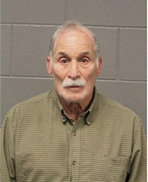 LARRY H GOLDBERG, Cook County, Illinois