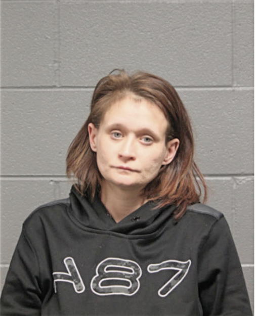KRISTINE M HENKELMANN, Cook County, Illinois