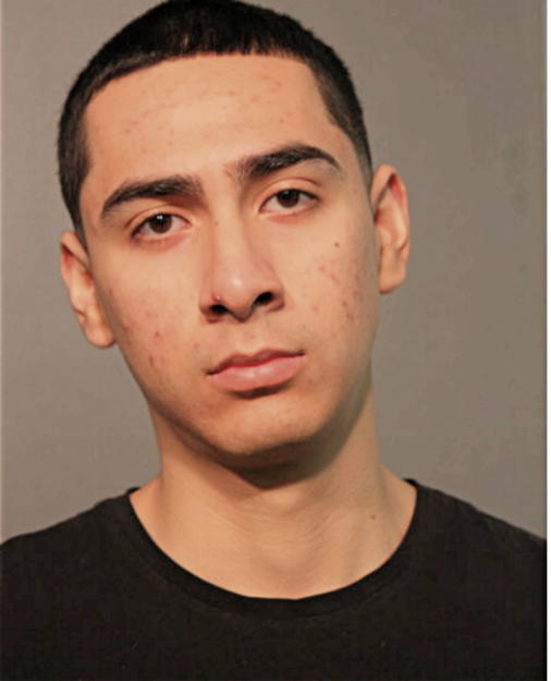 RAFAEL DELUNA III, Cook County, Illinois