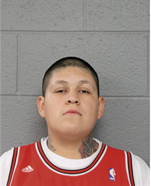 ERIC JARA, Cook County, Illinois
