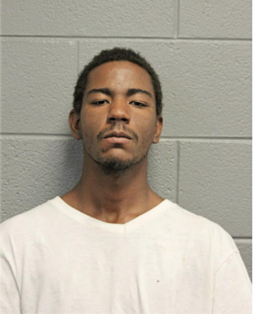 DEVON W JOHNSON, Cook County, Illinois
