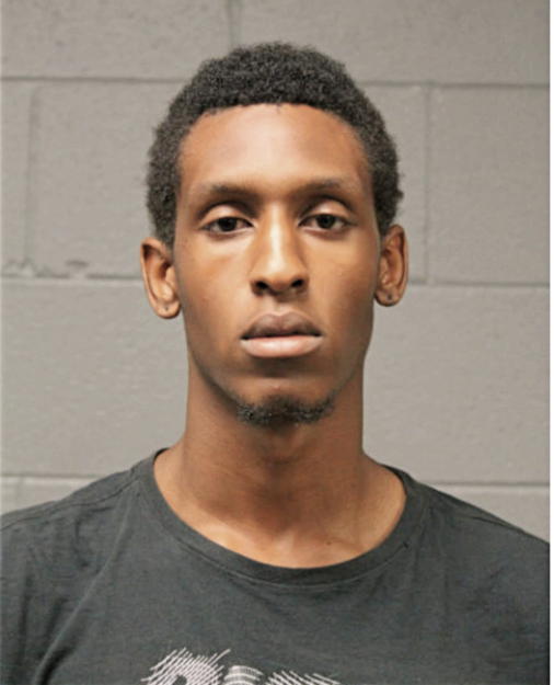 TEYAJOUR JOHNSON, Cook County, Illinois