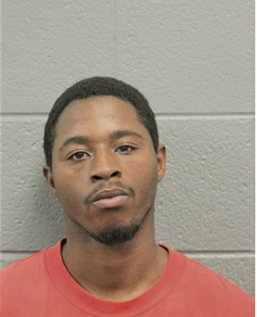 CHRISTOPHER P LUCKES, Cook County, Illinois