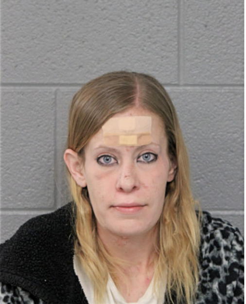 KRISTINA D MICHEL, Cook County, Illinois