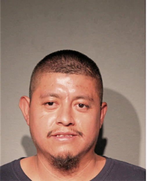 MARCO A NIEVES, Cook County, Illinois