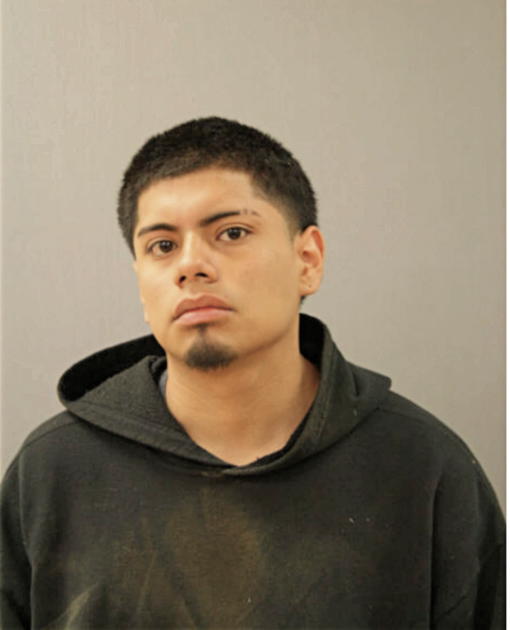 ALEJANDRO PERALTA, Cook County, Illinois