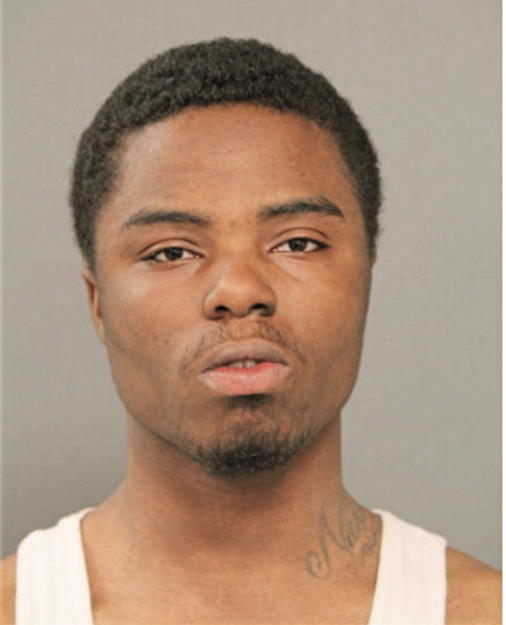 ESSEX M PITTMAN, Cook County, Illinois