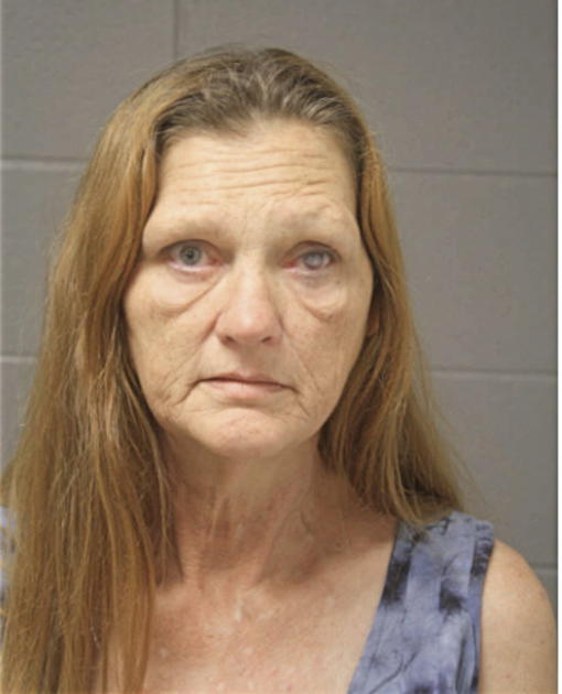 CECELIA C RICE, Cook County, Illinois