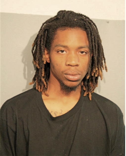 NATHANIEL C RICHARDSON, Cook County, Illinois