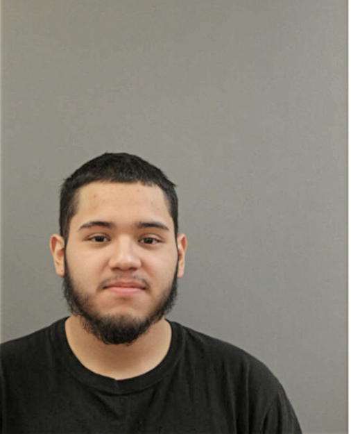 LUIS A TORRES PERALES, Cook County, Illinois