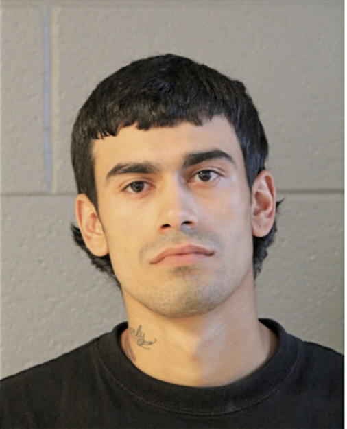 JOSE A VEGA, Cook County, Illinois