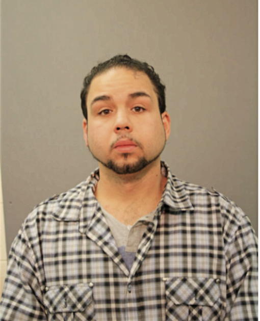 NELSON VEGA, Cook County, Illinois