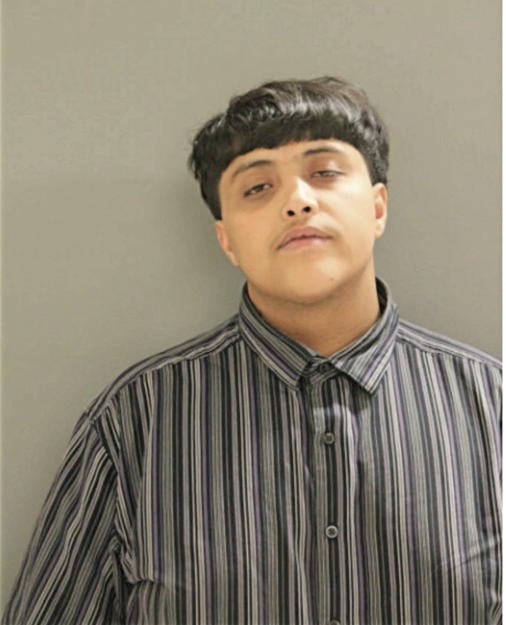SAEED A ABDULRAB, Cook County, Illinois