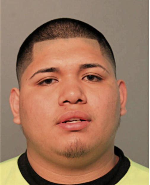 IRVING D AVILES, Cook County, Illinois