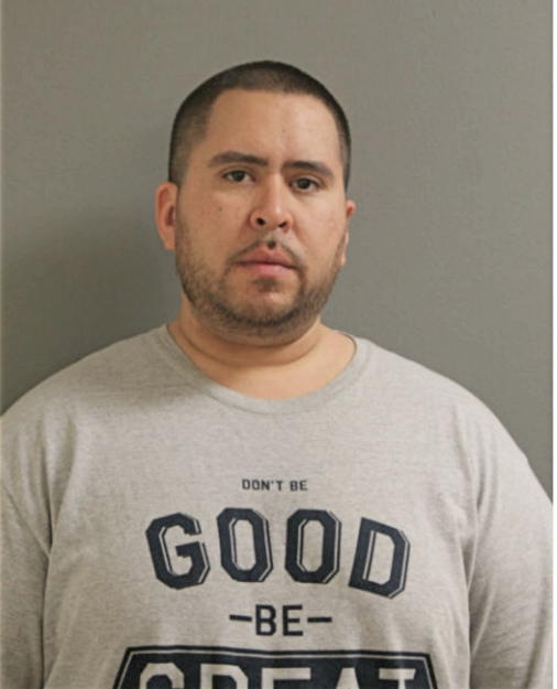 DANIEL L BONILLA, Cook County, Illinois