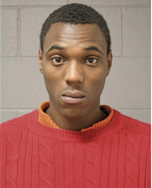DASHAUNE T BURNS-JOHNSON, Cook County, Illinois
