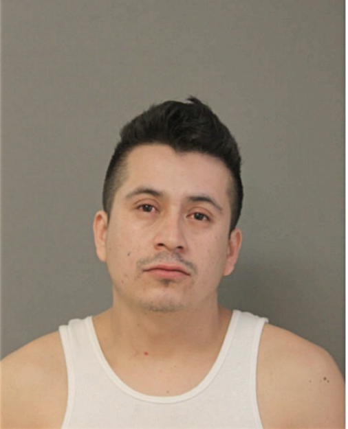 JOSE A CALDERON, Cook County, Illinois