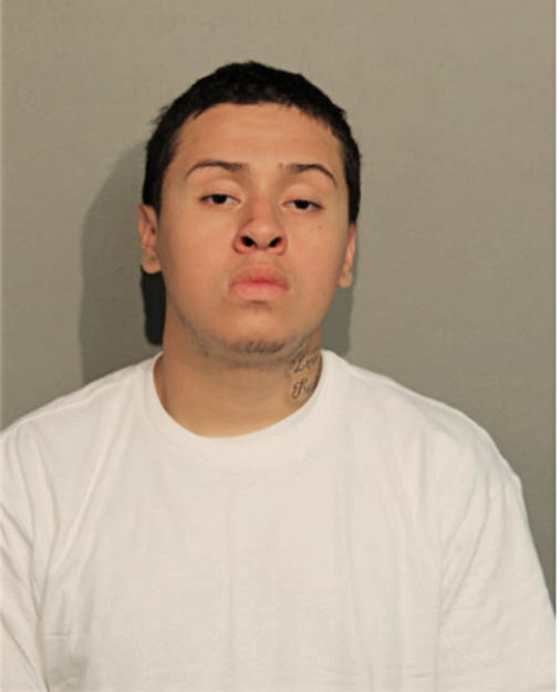 LUIS A CANO-PADILLA, Cook County, Illinois