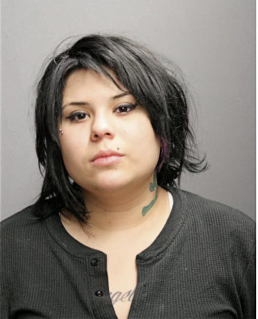 LORISSA L CAPPETTA, Cook County, Illinois