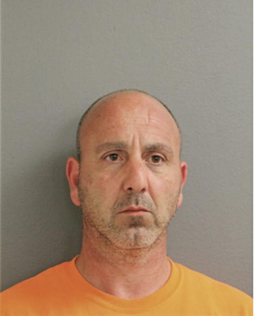ANTHONT P DECICCO, Cook County, Illinois