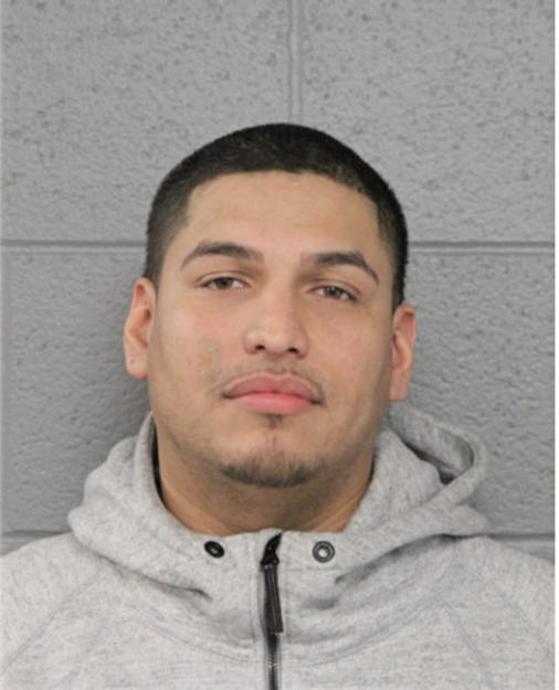 ROBERTO P DURAN, Cook County, Illinois
