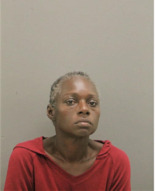 KAREN E ROBINSON, Cook County, Illinois