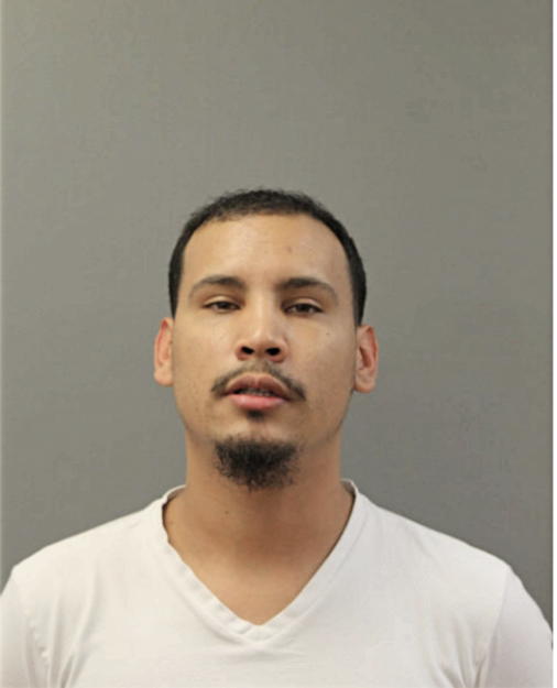 ERIC J ESTRADA, Cook County, Illinois