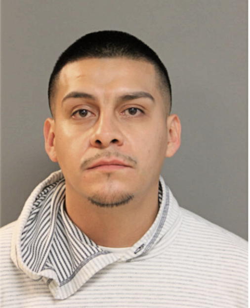 JUAN M FLORES, Cook County, Illinois