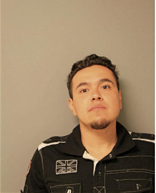 MARCO A FLORES, Cook County, Illinois