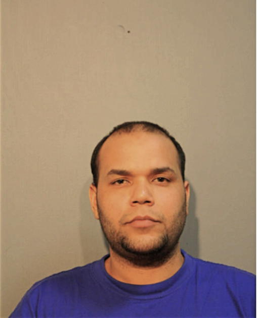 LUIS R GUEVARA, Cook County, Illinois