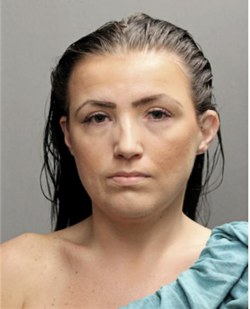 DANIELLE L HAMBY, Cook County, Illinois