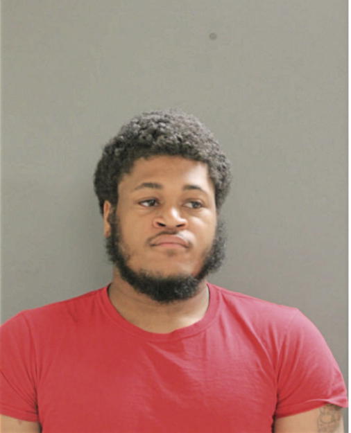 STEFAN A JOHNSON, Cook County, Illinois