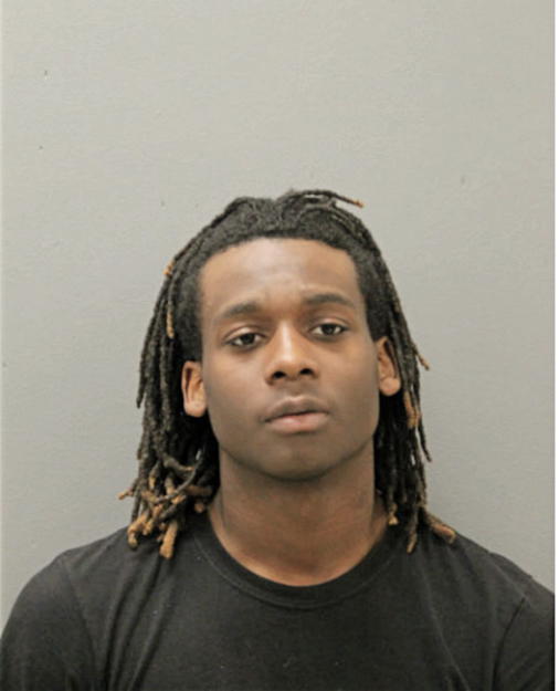 DEMETRIUS D LANE, Cook County, Illinois
