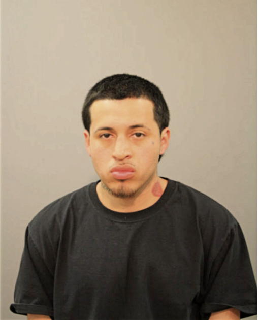 AGUSTIN MARTINEZ, Cook County, Illinois