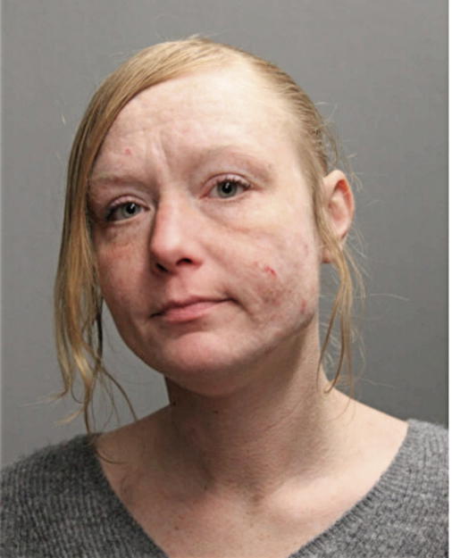 JENNIFER N MAXBERRY, Cook County, Illinois