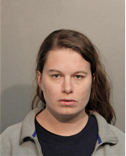 MELISSA A METZ, Cook County, Illinois