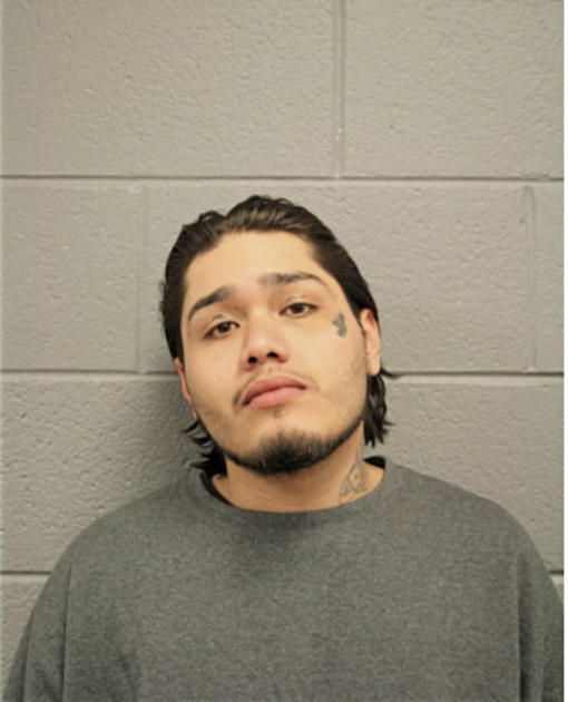 OSCAR D NAVA, Cook County, Illinois