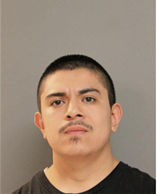 NOE NAVARRO, Cook County, Illinois