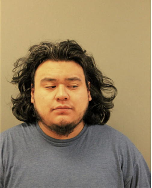 EDGAR I NIEVA, Cook County, Illinois