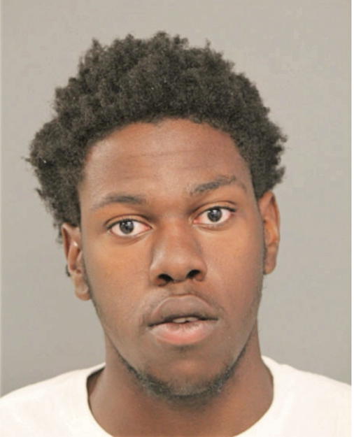 AUSTIN M PALMER, Cook County, Illinois