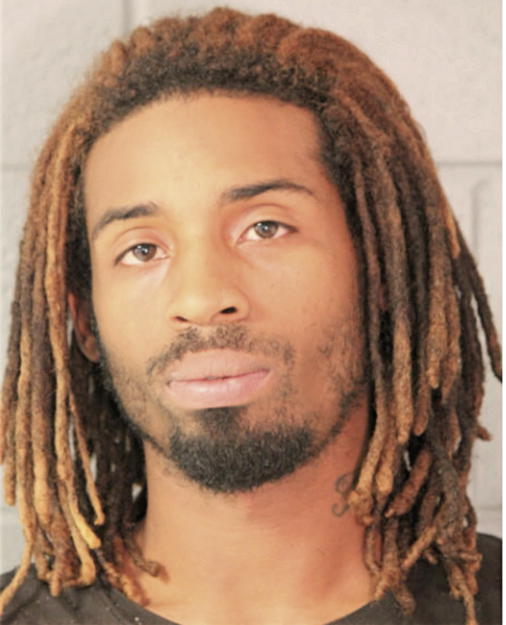 PATRICK M PIERCE, Cook County, Illinois