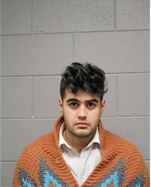 DARIO RODRIGUEZ, Cook County, Illinois