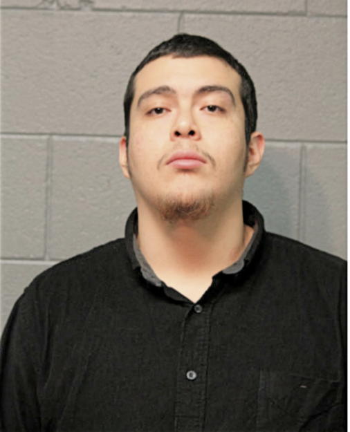 GIOVANNI M RODRIGUEZ, Cook County, Illinois